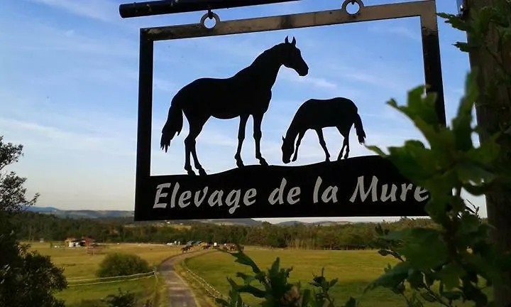Gite De L'Elevage De La Mure Saint-Rambert-sur-Loire